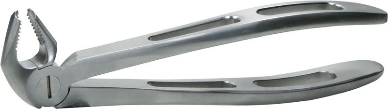 Zahnzangen GatorEX  Stück  GX22