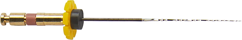 FKG RaCe   Packung  6 Stück 31 mm ISO 010, 2 %