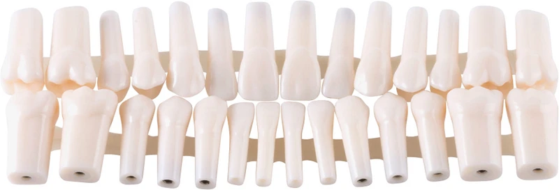 Permanenter Einzelzahn A5H-500  Stück  Nr. 45