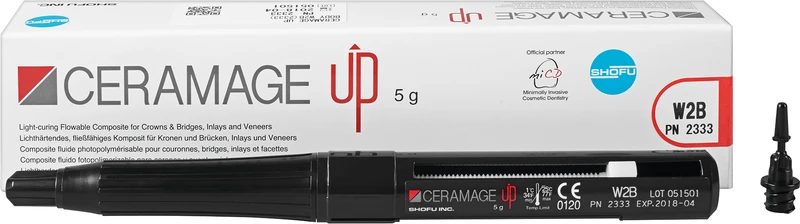 CERAMAGE UP   Spritze  5 g Komposit body W2