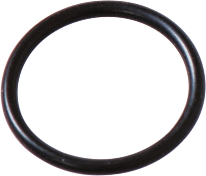 O-Ring  Stück  Ring für ERGOgrip 4944 \ SONICfil 2010
