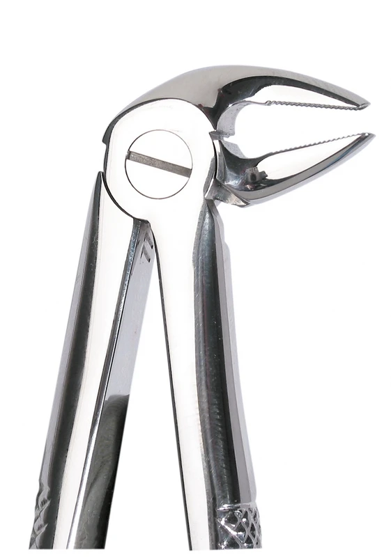 Zahnzangen  Stück  UK Wurzel 33