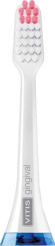 VITIS sonic S10\S20 Bürstenköpfe  Packung  2 Stück gingival